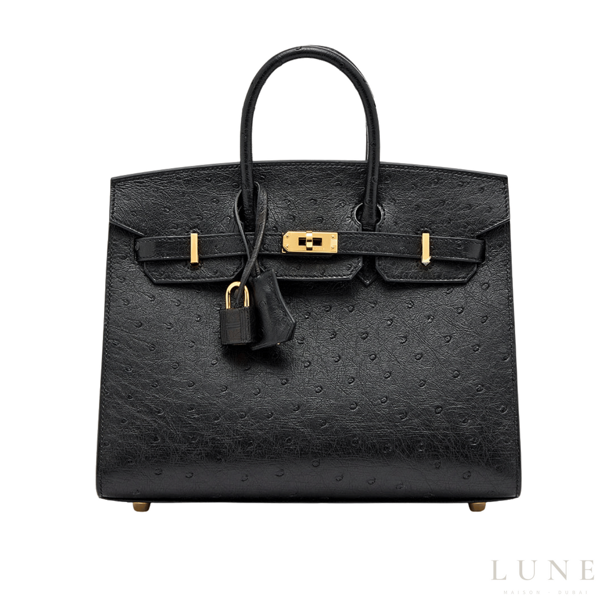 Hermès Birkin