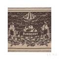 Burberry | Scarf Stormy Knight Dark Brown - View 1