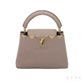 Louis Vuitton Capucines Gray