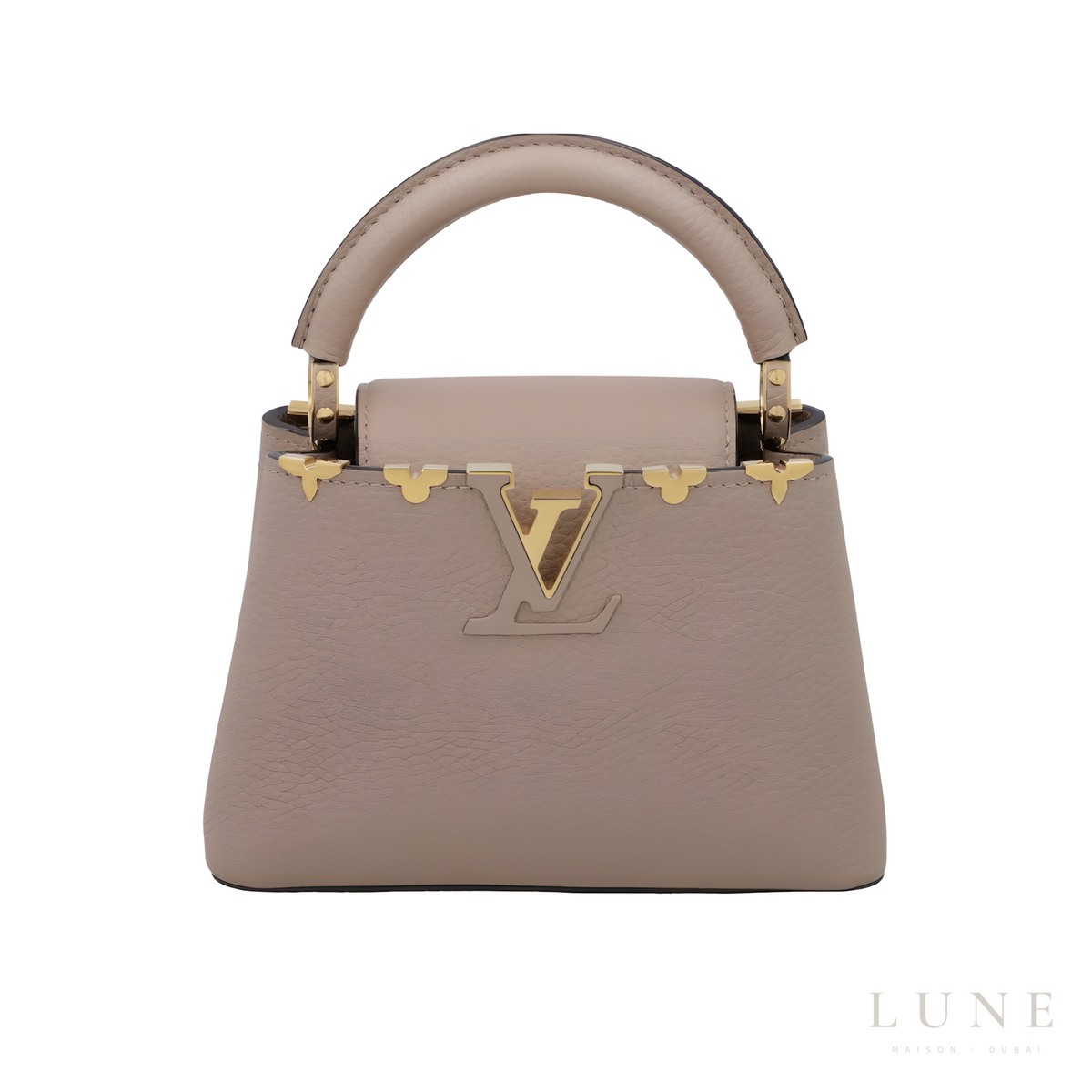 Louis Vuitton Capucines Gray