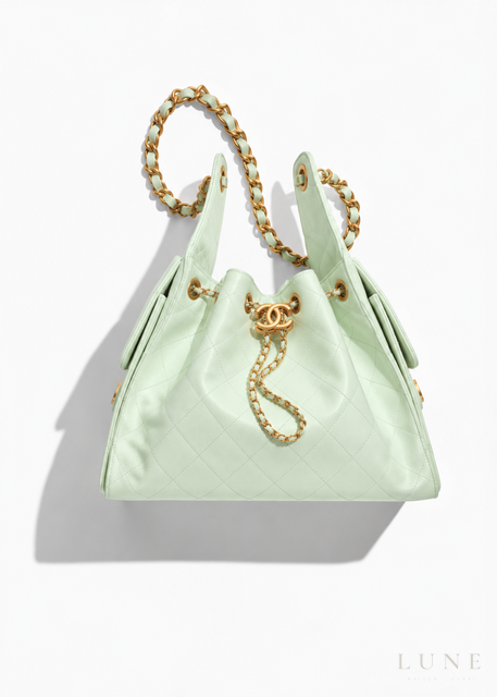 Chanel 25 Hobo Handbag