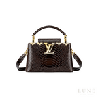 Louis Vuitton Capucines Mini – Dark Brown - View 1