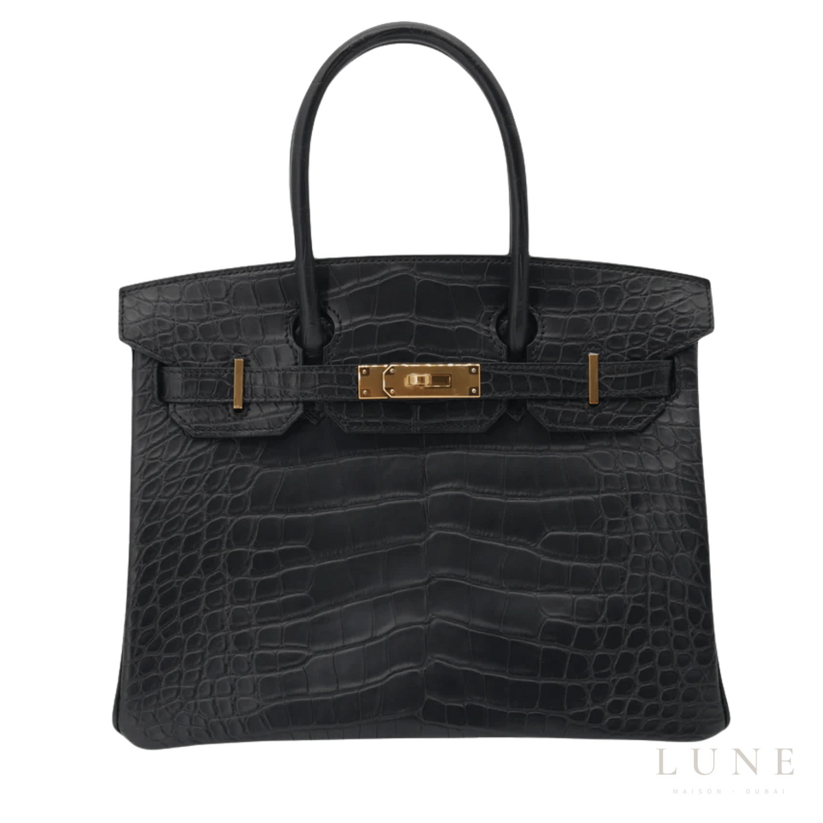 Hermès Birkin Croc