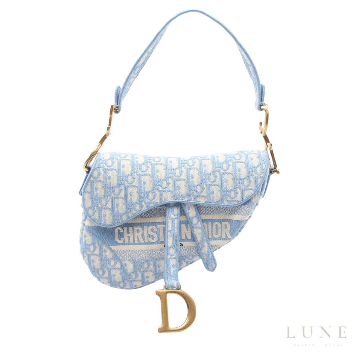 Dior Saddle Bag