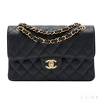 Chanel Small Classic Double Flap Bag