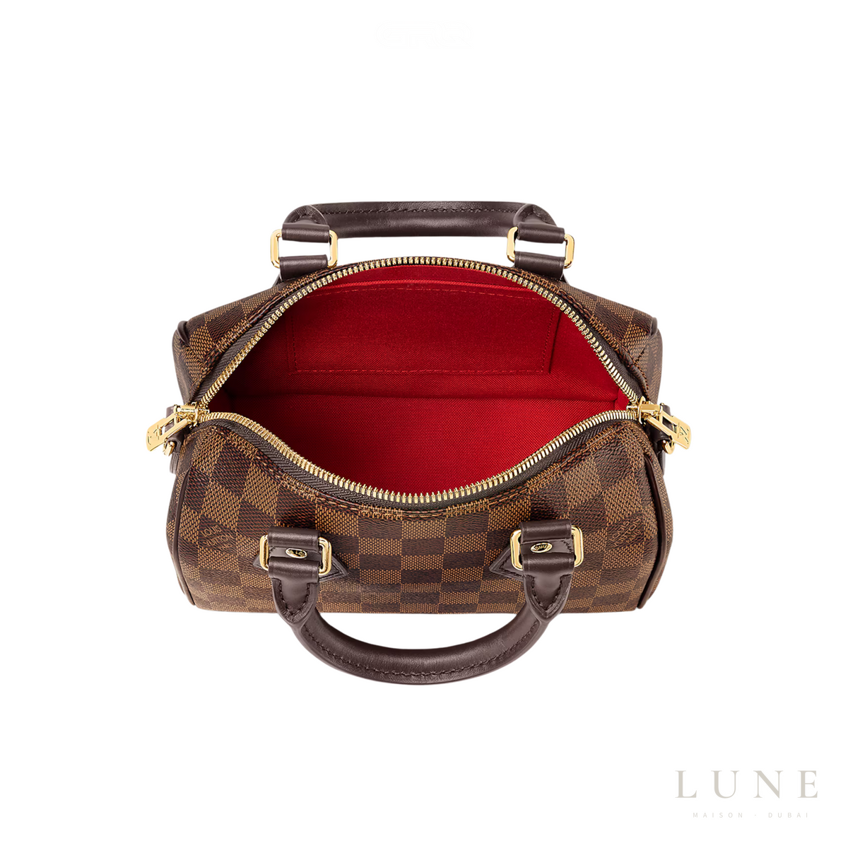 Louis Vuitton Speedy Bandoulière 20 Damier Ebene
