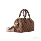 Louis Vuitton Speedy Bandoulière 20 Damier Ebene