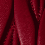 MIUMIU Arcadie matelassé nappa leather mini-bag "Red" - Bagistaofficial