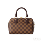Louis Vuitton Speedy Bandoulière 20 Damier Ebene