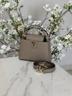 Louis Vuitton Capucines Gray Python