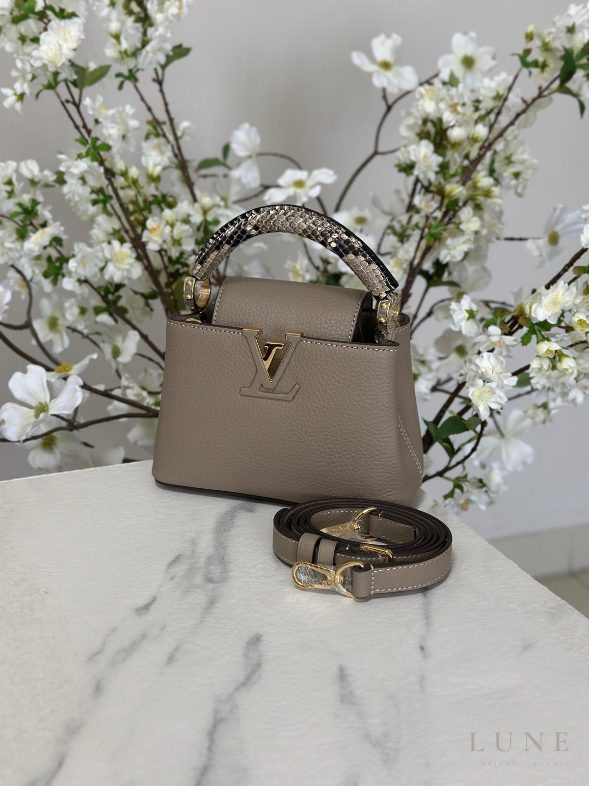 Louis Vuitton Capucines Gray Python