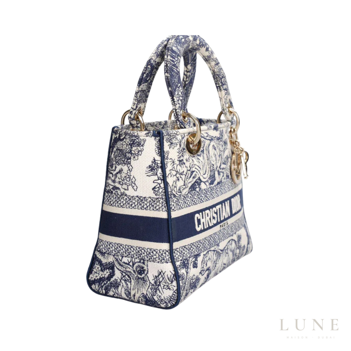 Dior Medium Lady D-Lite Bag