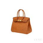 Hermès Birkin