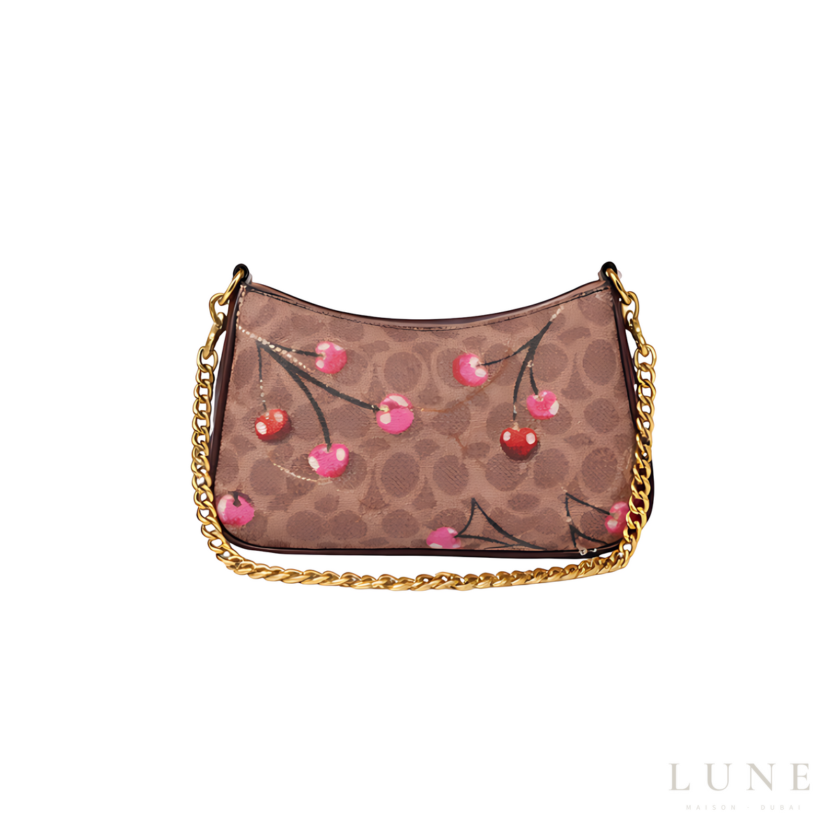 Coach Teri Shoulder Signature Canvas