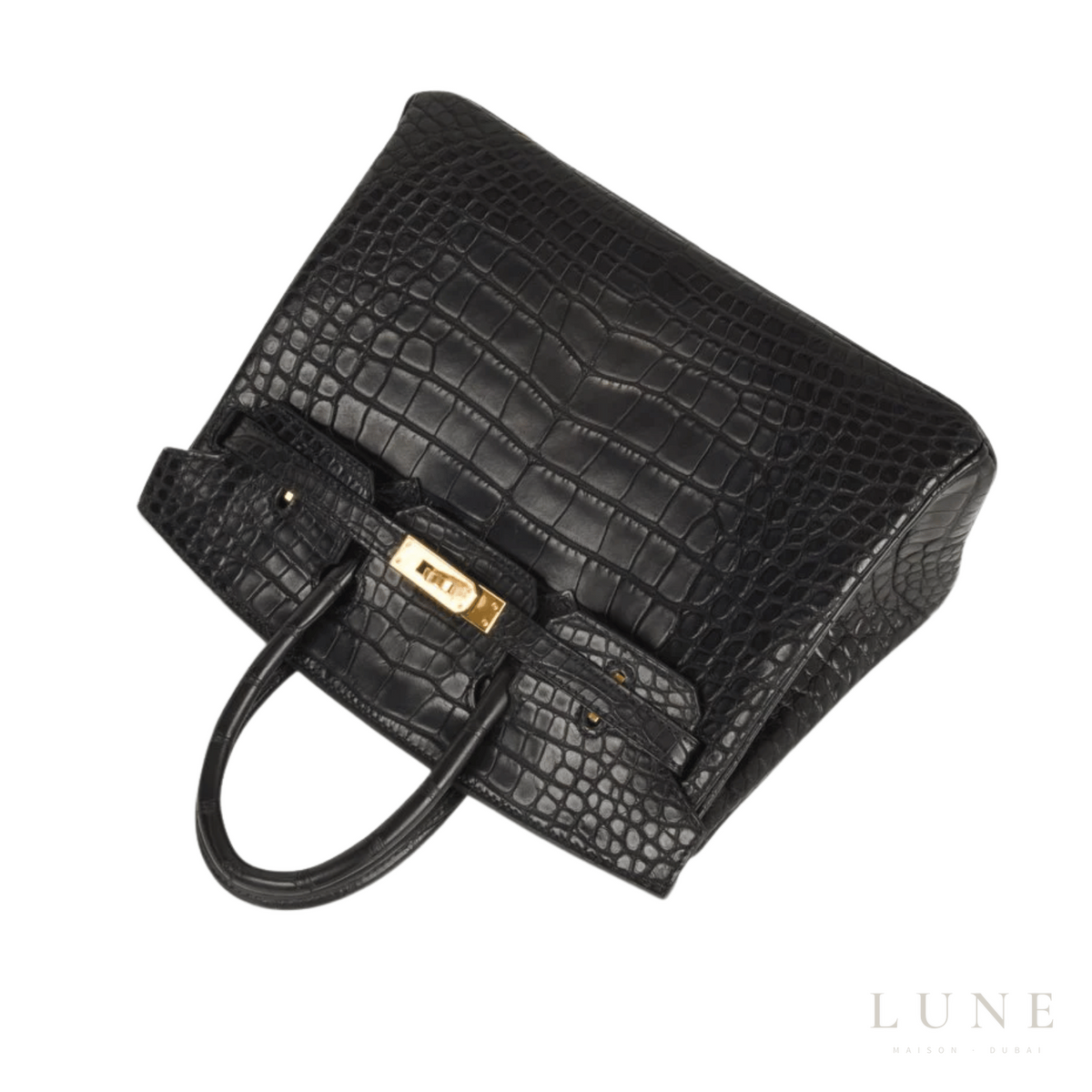 Hermès Birkin Croc