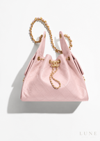 Chanel 25 Hobo Handbag