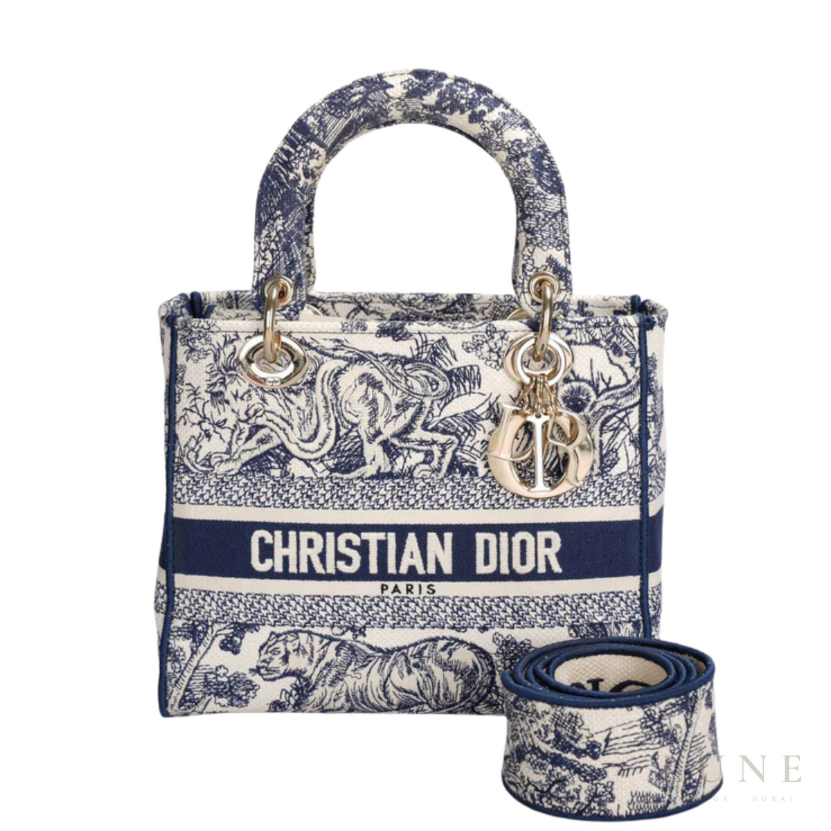 Dior Medium Lady D-Lite Bag