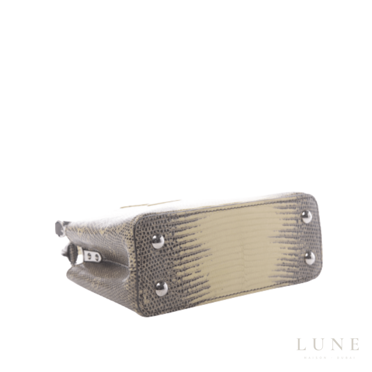 Louis Vuitton Capucines Lizard Leather