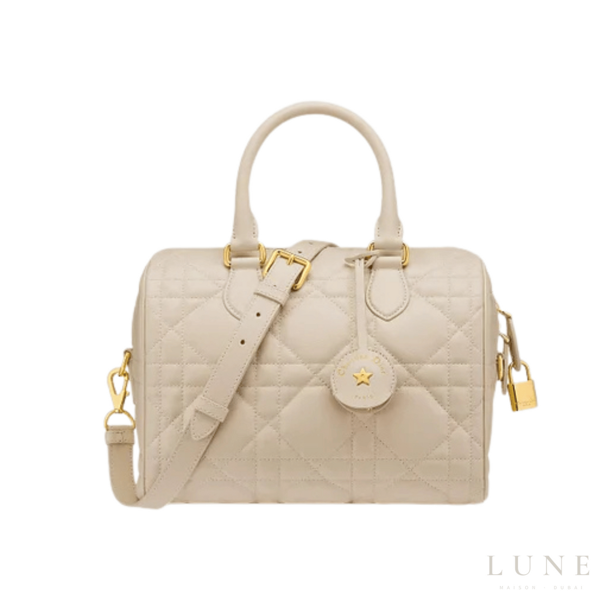 Dior Groove 25 Bag