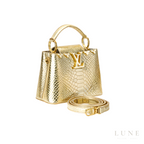 Louis Vuitton Capucines Taurillon Silver