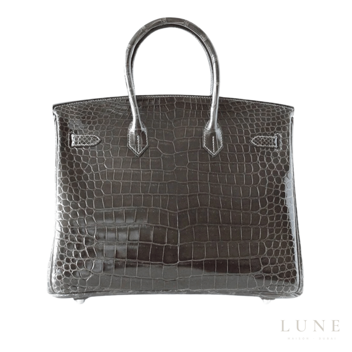 Hermès Birkin Croc