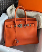 Hermès Birkin 25 Orange