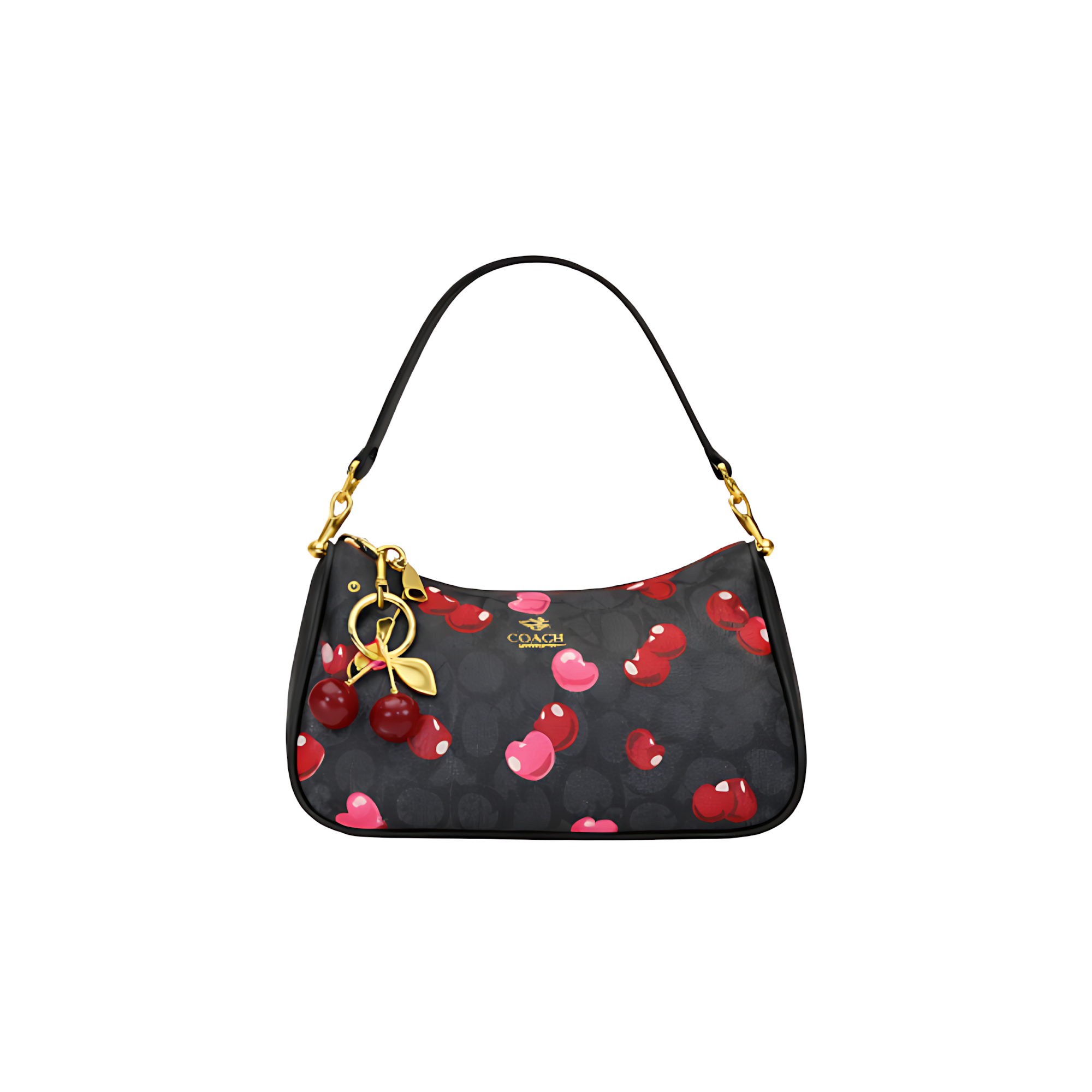 Coach Teri Shoulder Signature Canvas