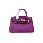 Hermès Birkin 25 Purple