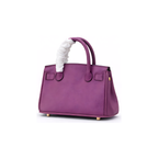 Hermès Birkin 25 Purple