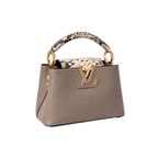 Louis Vuitton Capucines Steeple Grey Python