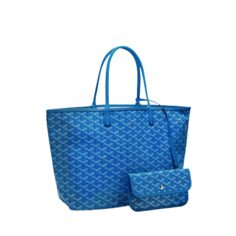 Goyard Saint Louis PM Sky Blue