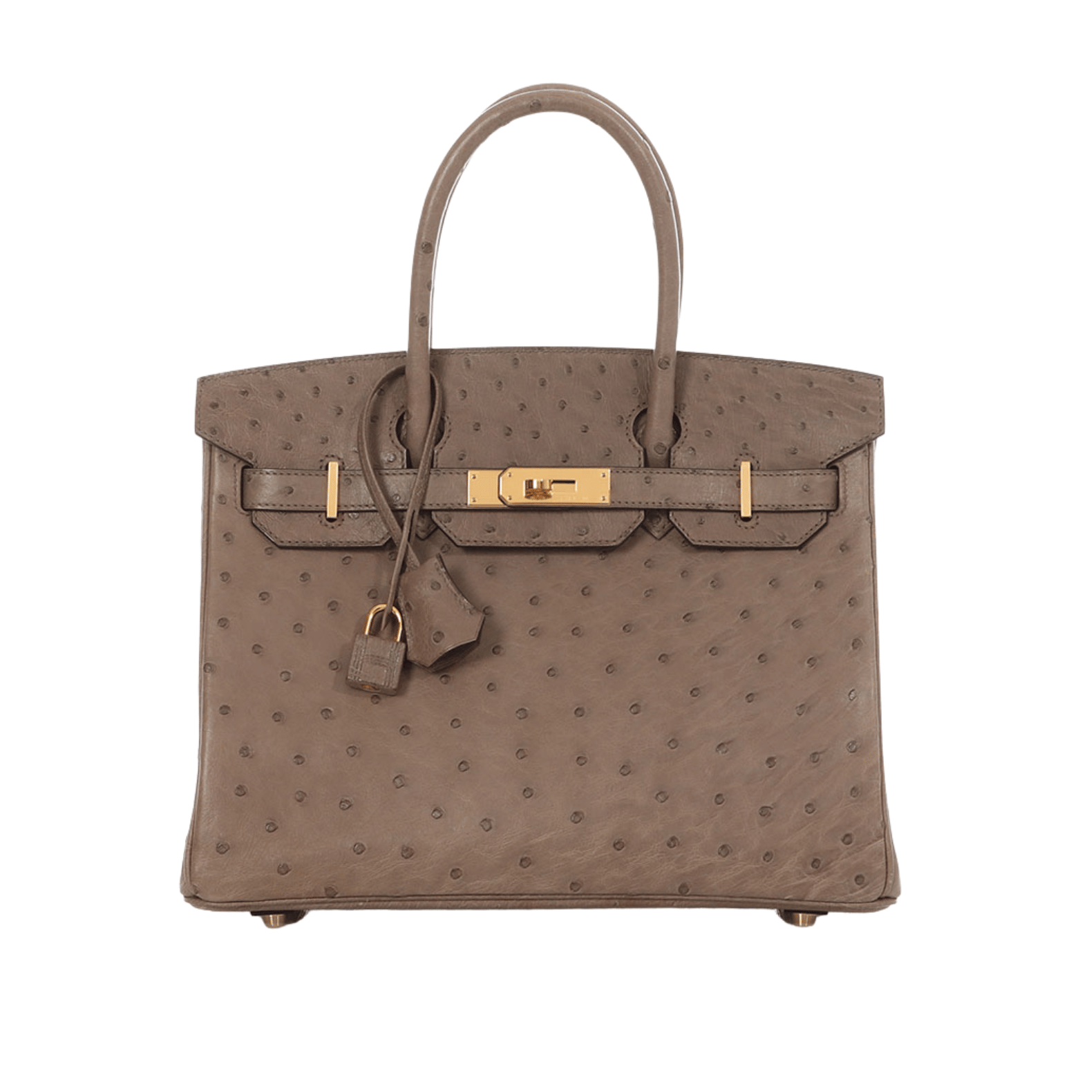 Hermès | Birkin