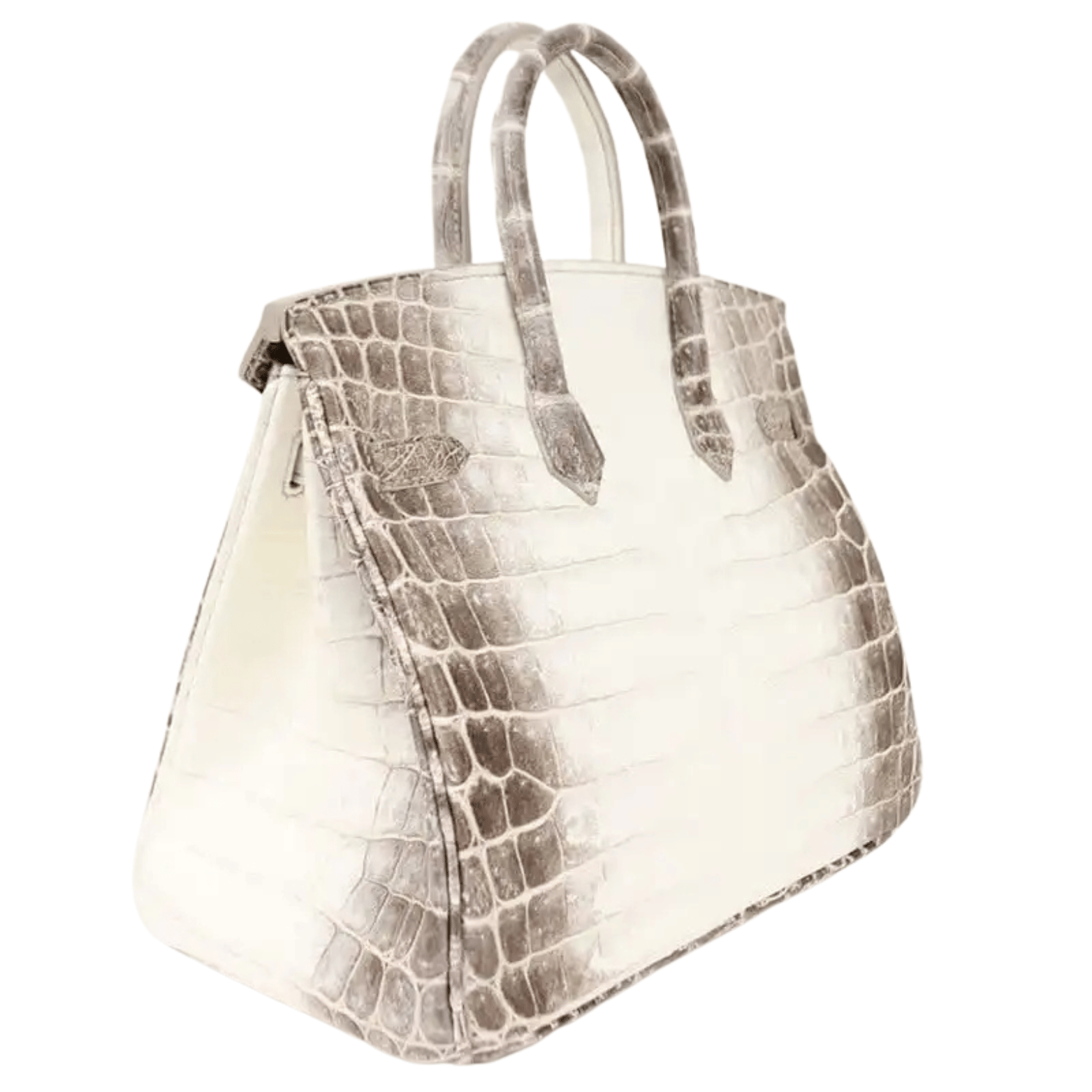 Hermès | Birkin 30 Himalaya Niloticus Crocodile Handbag