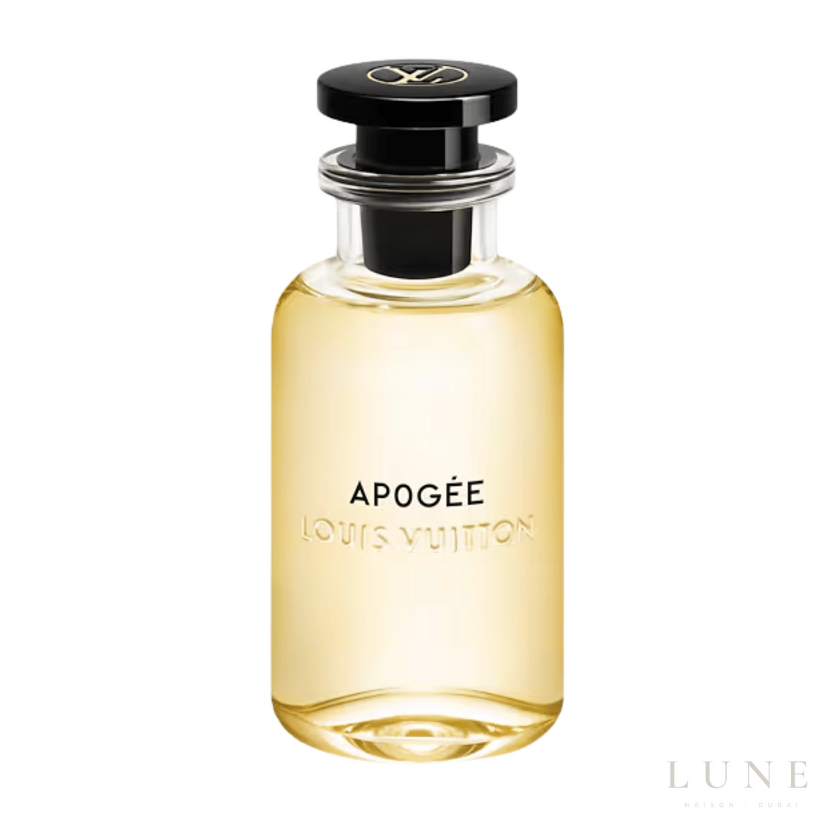 Louis Vuitton Apogee