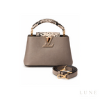 Louis Vuitton Capucines Gray Python