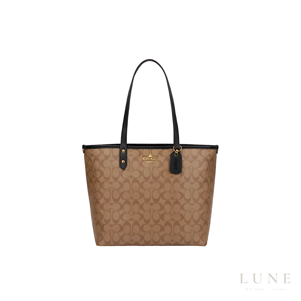 Coach City Tote Signature Canvas