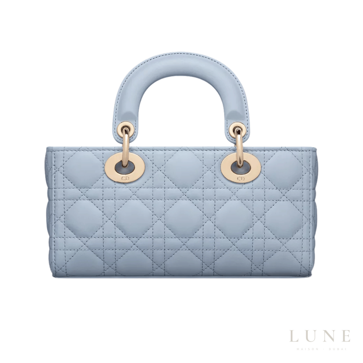Dior Lady D-Joy Bag