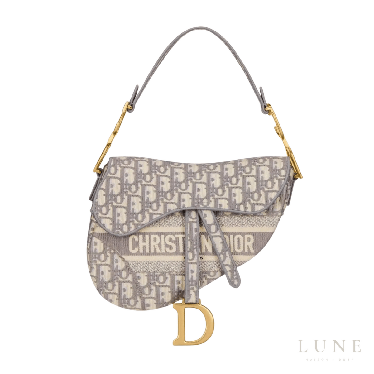 Dior Saddle Bag