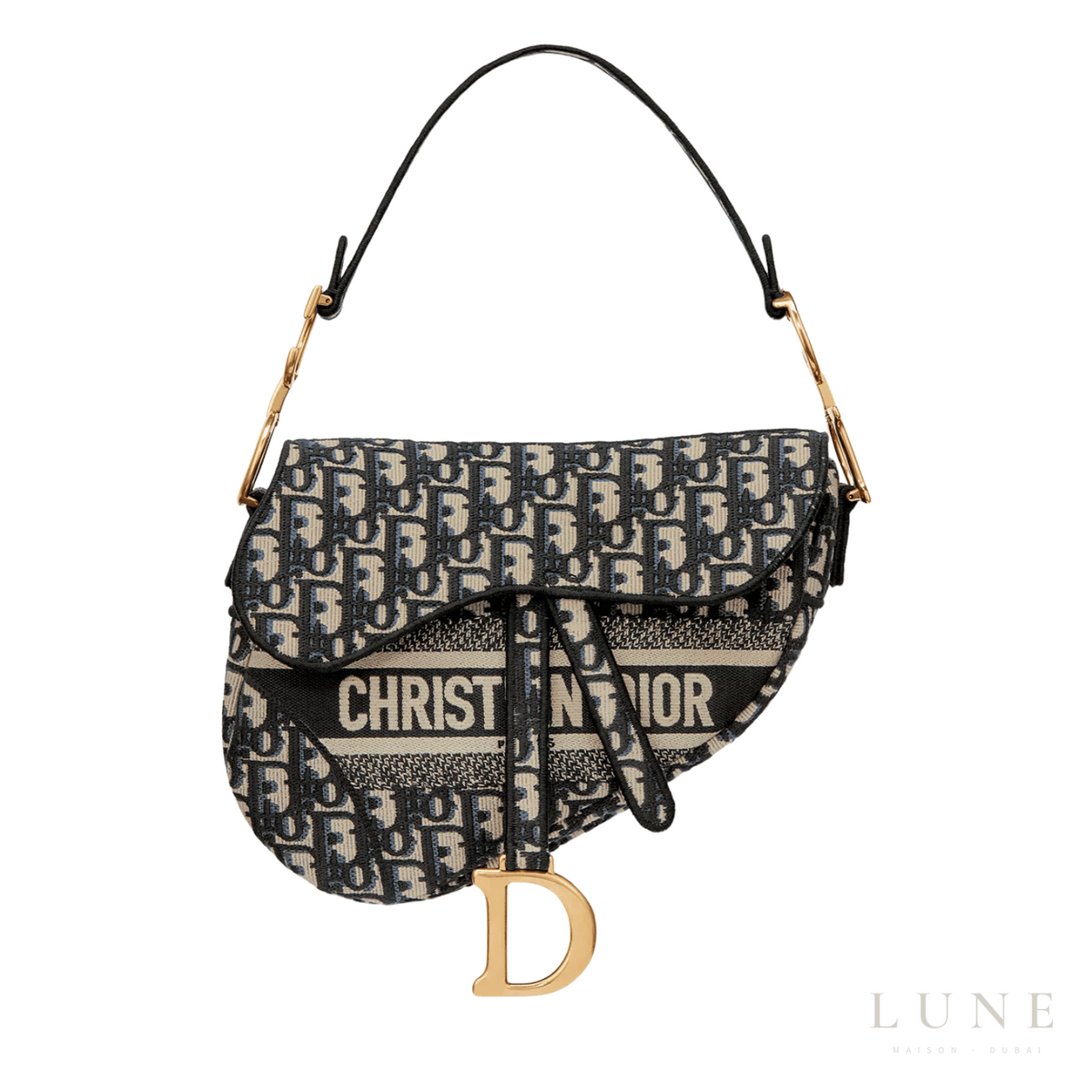 Dior Saddle Bag