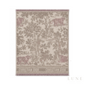 Dior Sauvage Muted Scarf – Pink