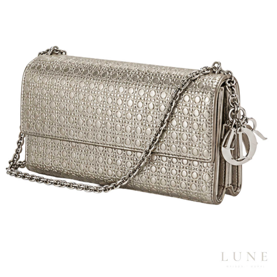 Dior Promenade Pouch – Silver