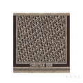 Dior Oblique Scarf – Dark Brown