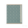 Louis Vuitton | Shawl Classic Celadon Green - View 1